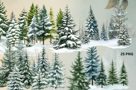 Winter Forest, Christmas Trees PNG: Illustrations
